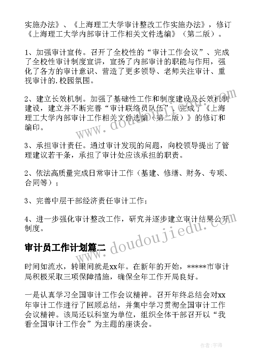 2023年审计员工作计划(大全9篇)