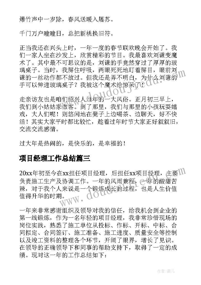 2023年项目经理工作总结(汇总7篇)