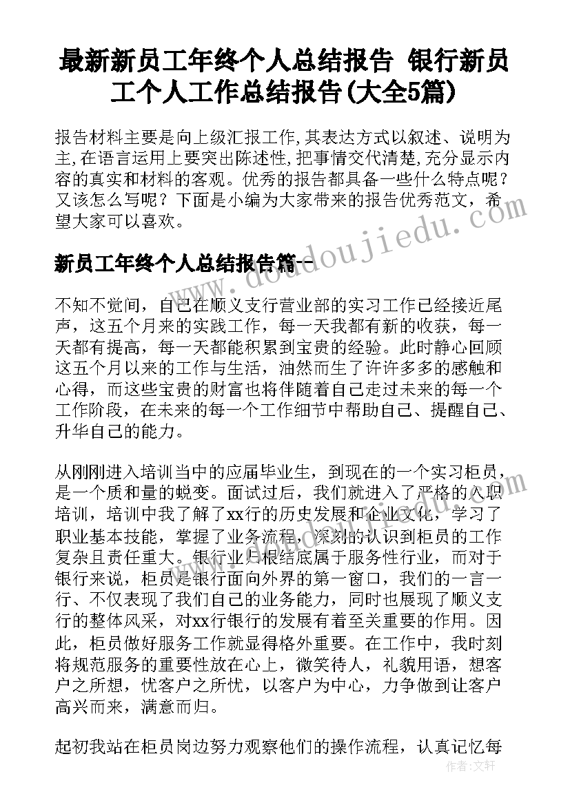 最新新员工年终个人总结报告 银行新员工个人工作总结报告(大全5篇)