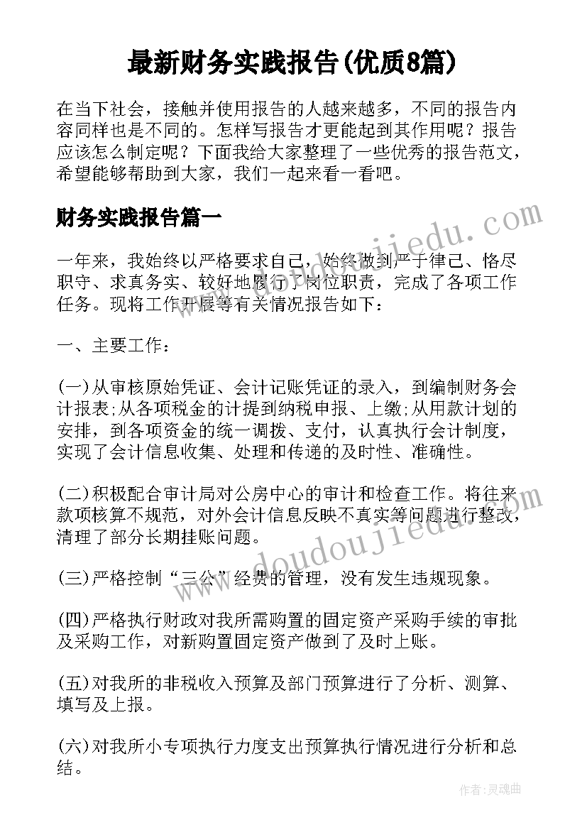 最新财务实践报告(优质8篇)