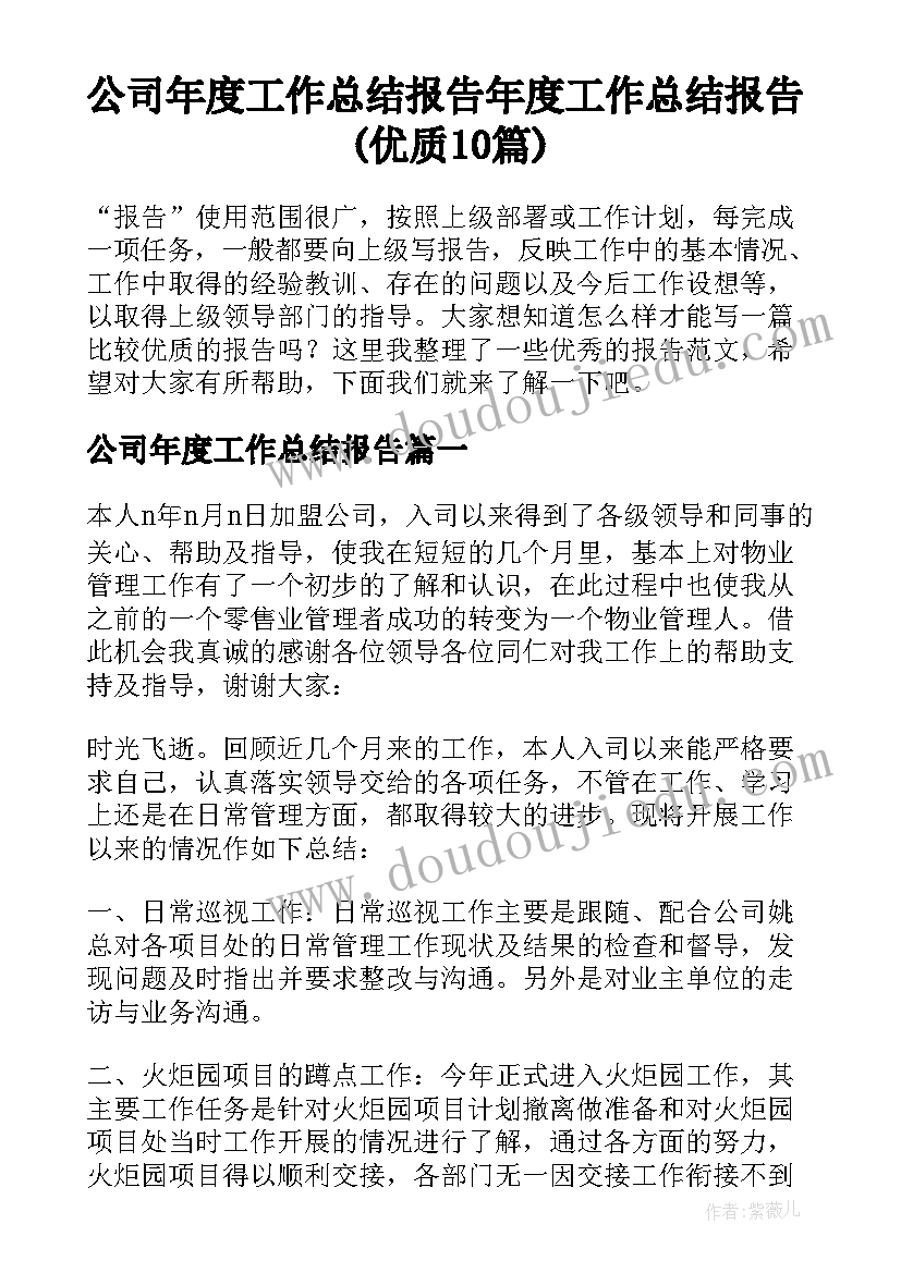 公司年度工作总结报告 年度工作总结报告(优质10篇)