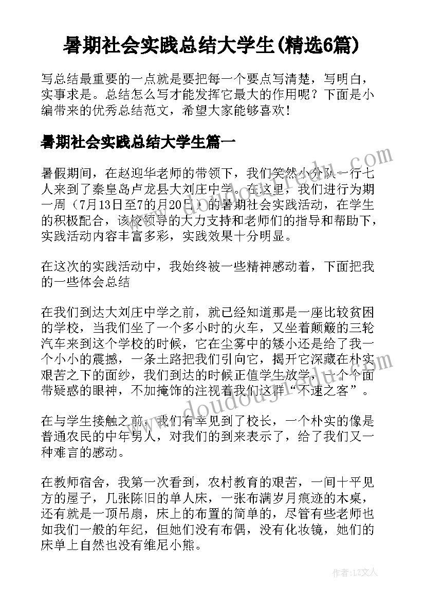 暑期社会实践总结大学生(精选6篇)