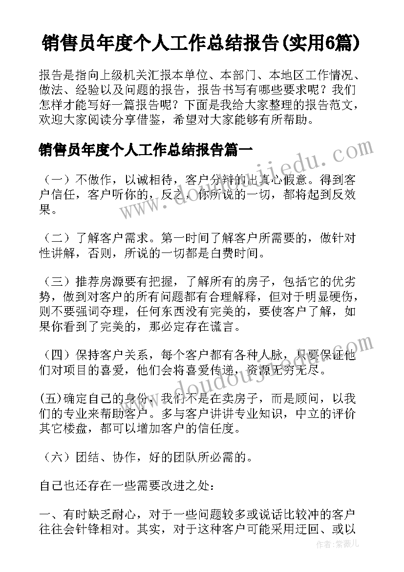 销售员年度个人工作总结报告(实用6篇)