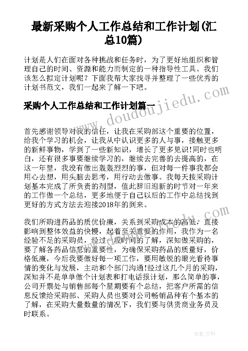 最新采购个人工作总结和工作计划(汇总10篇)