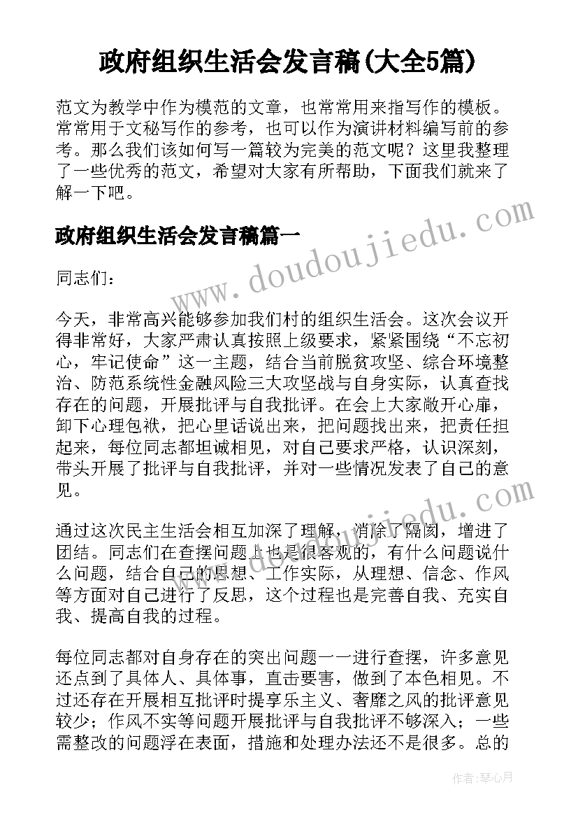 政府组织生活会发言稿(大全5篇)