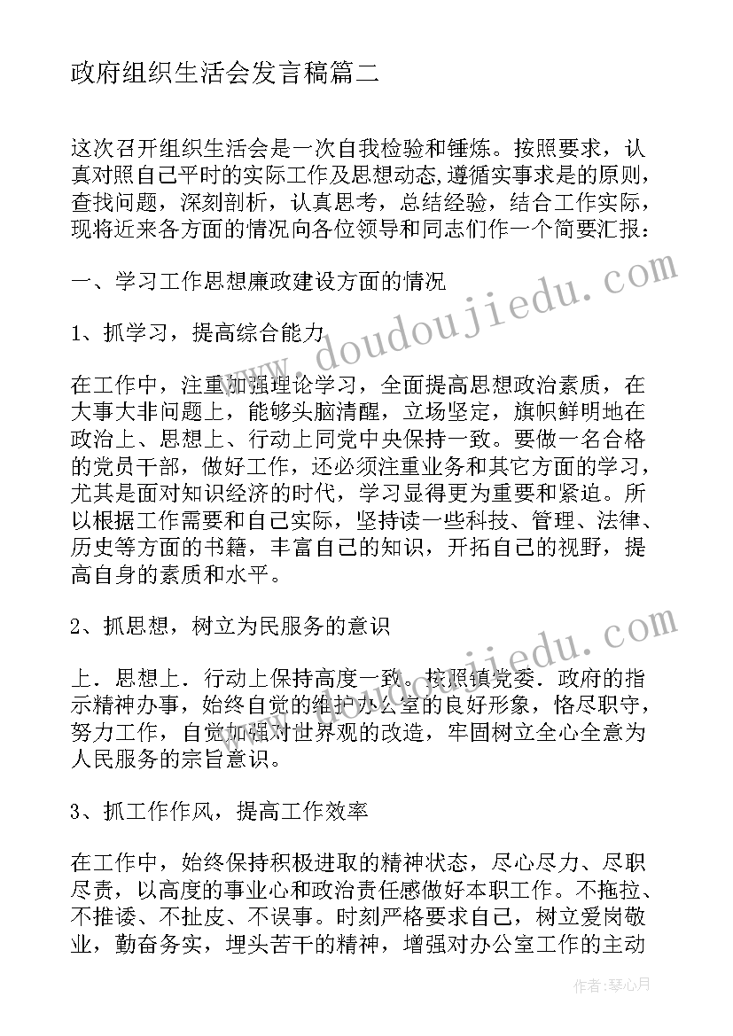 政府组织生活会发言稿(大全5篇)