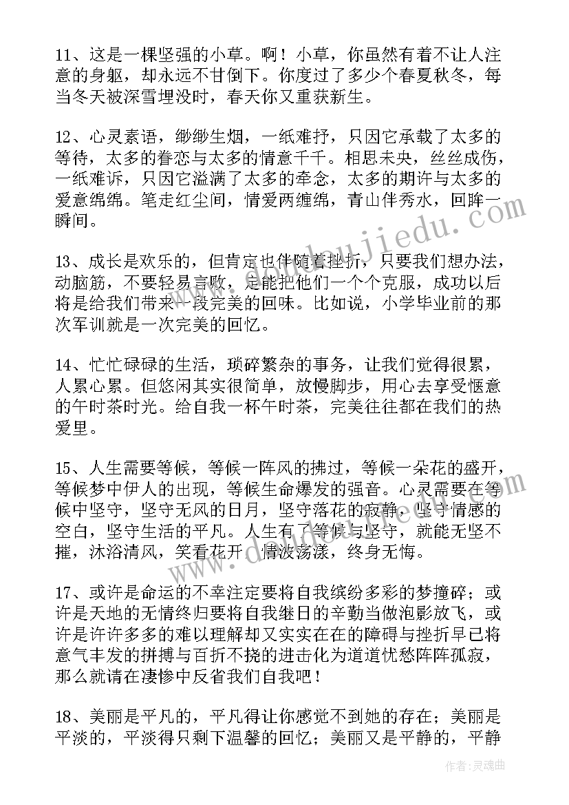 语文美文摘抄(模板8篇)