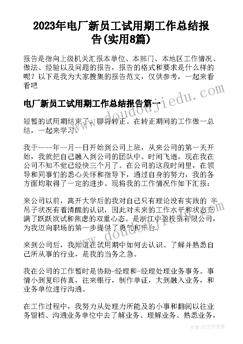 2023年电厂新员工试用期工作总结报告(实用8篇)