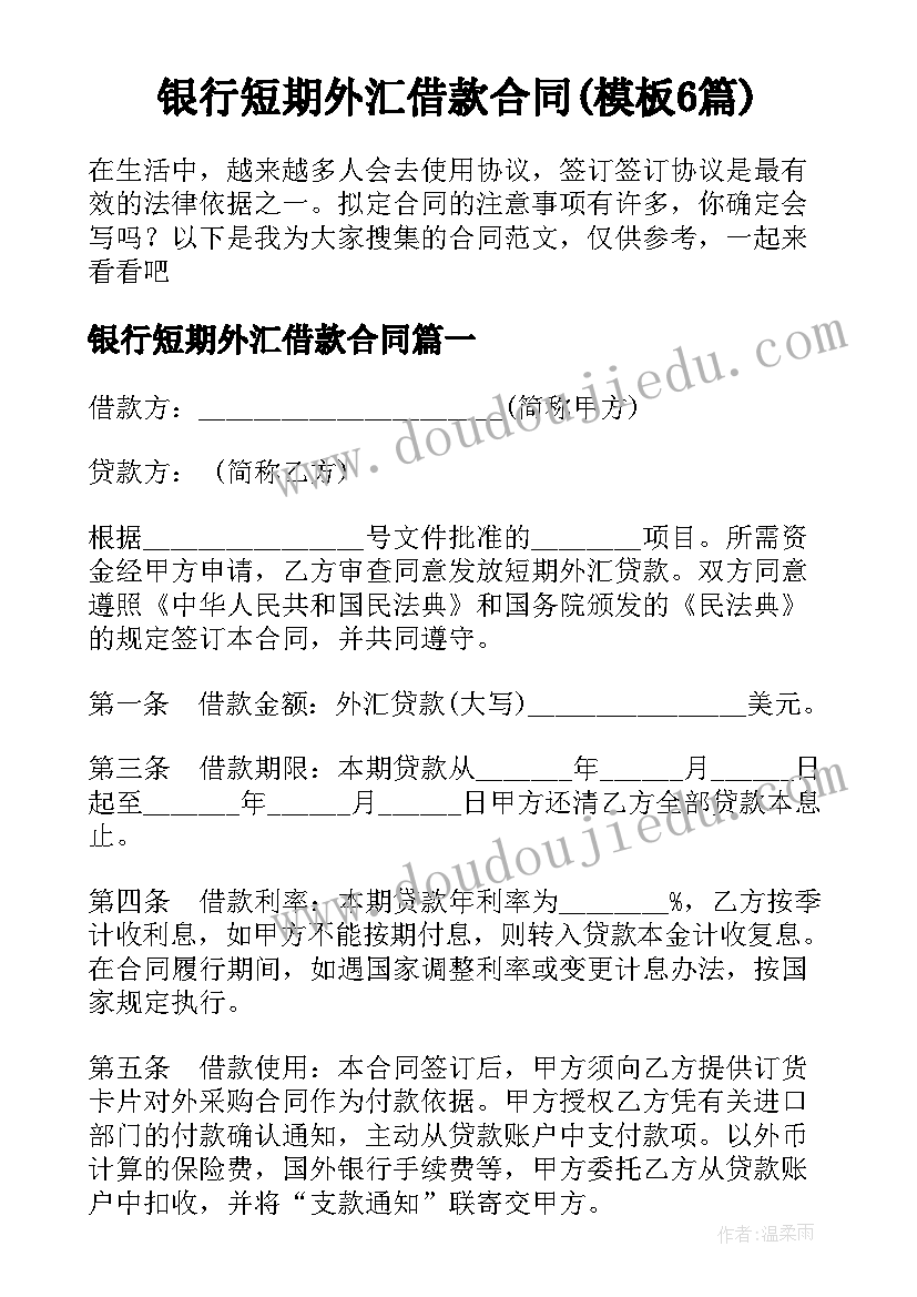 银行短期外汇借款合同(模板6篇)