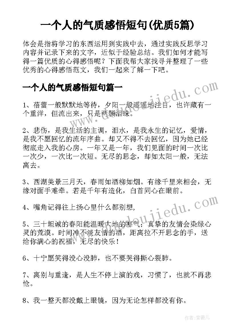 一个人的气质感悟短句(优质5篇)