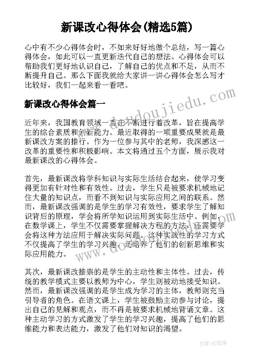 新课改心得体会(精选5篇)