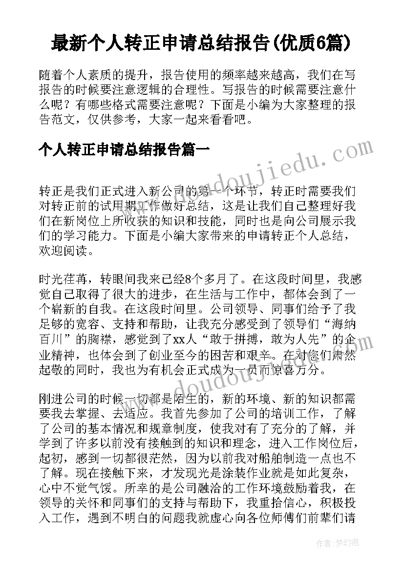 最新个人转正申请总结报告(优质6篇)