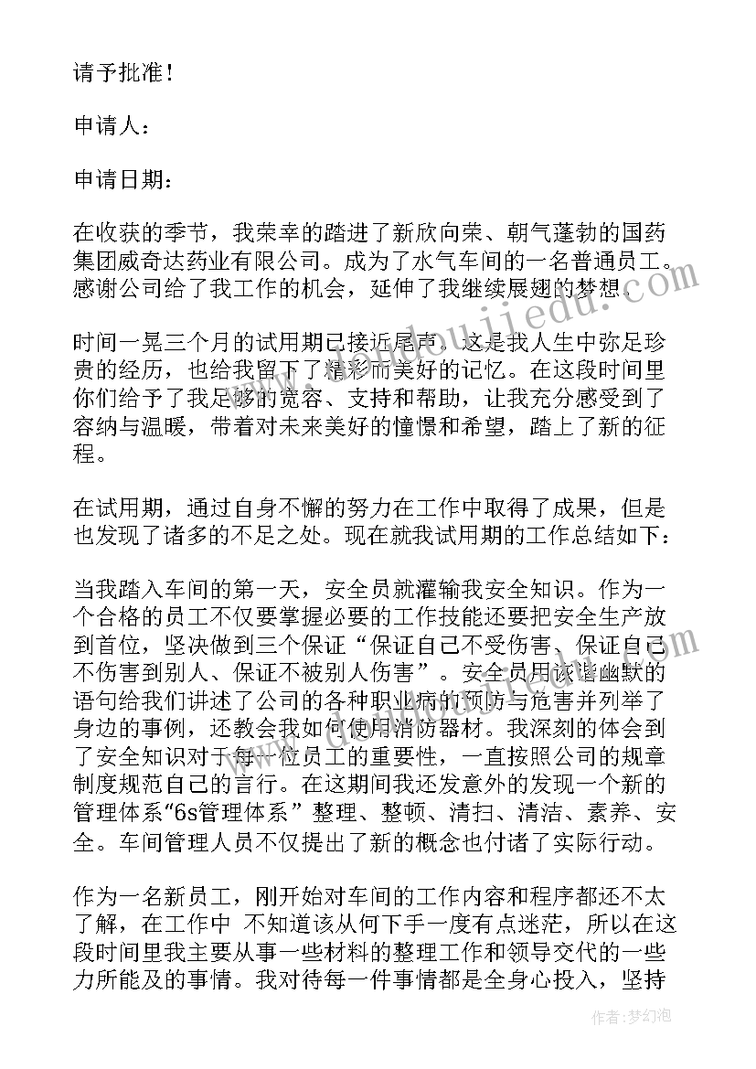 最新个人转正申请总结报告(优质6篇)