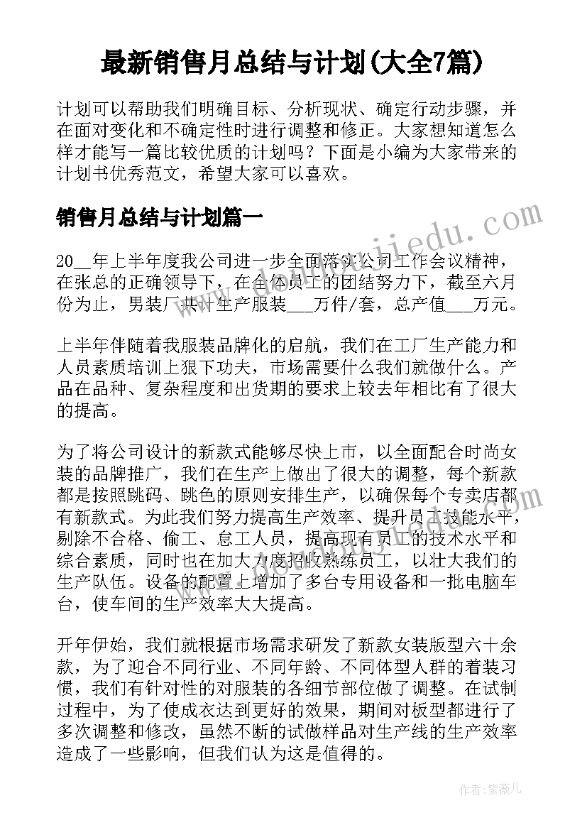 最新销售月总结与计划(大全7篇)