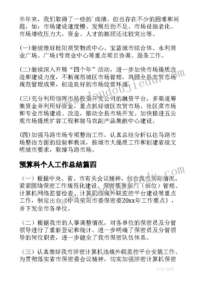 最新预算科个人工作总结(模板5篇)