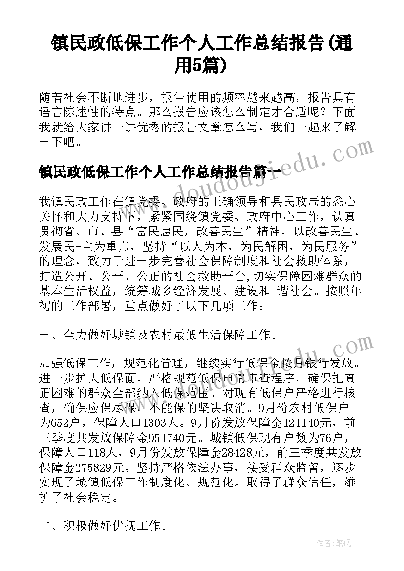 镇民政低保工作个人工作总结报告(通用5篇)