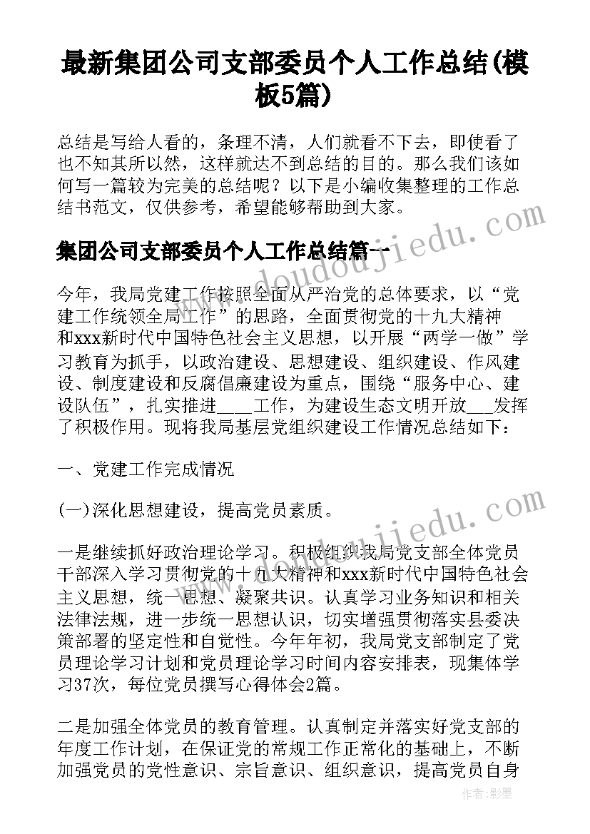 最新集团公司支部委员个人工作总结(模板5篇)