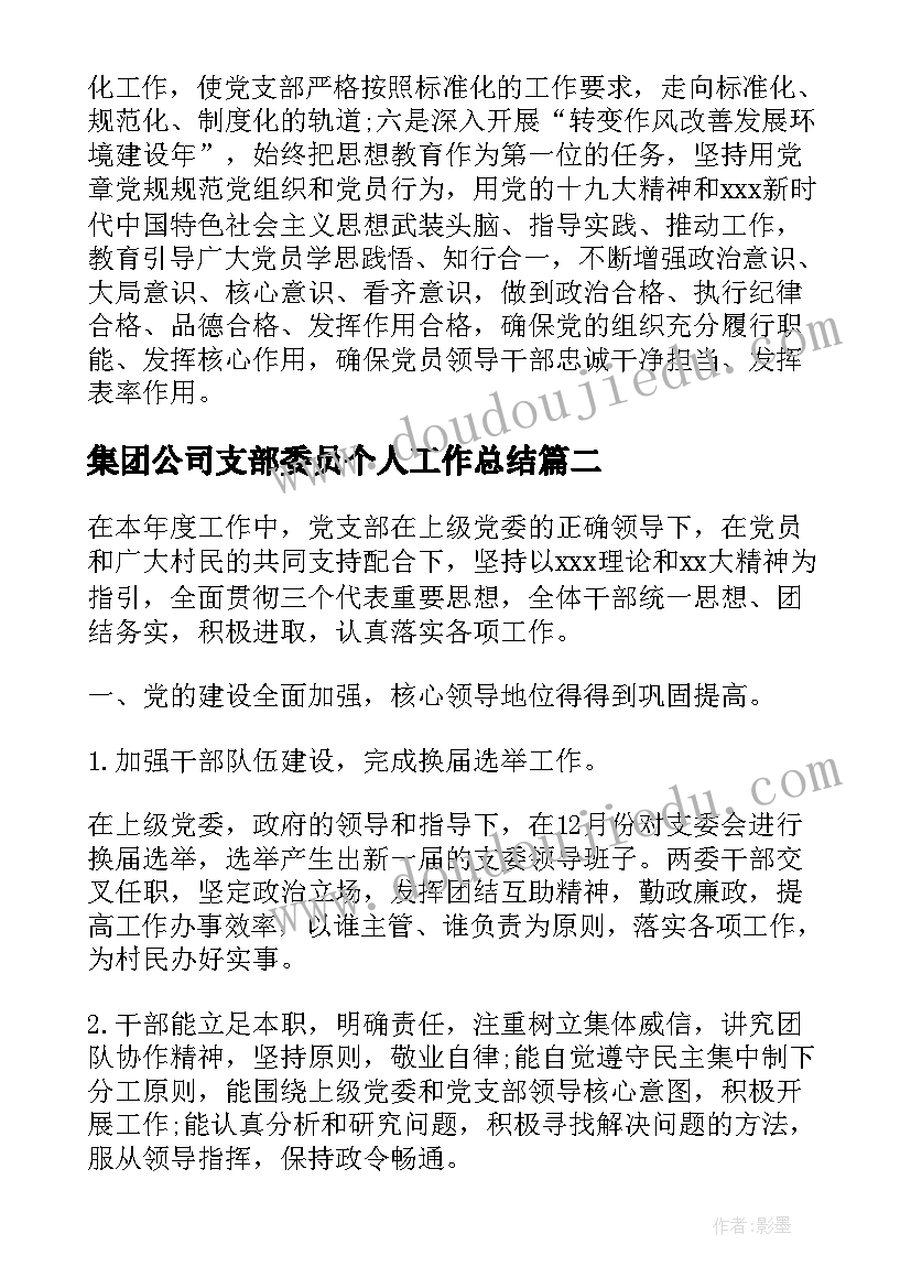 最新集团公司支部委员个人工作总结(模板5篇)