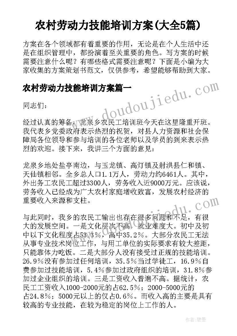 农村劳动力技能培训方案(大全5篇)