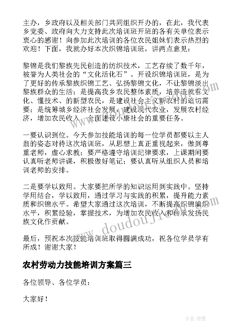 农村劳动力技能培训方案(大全5篇)