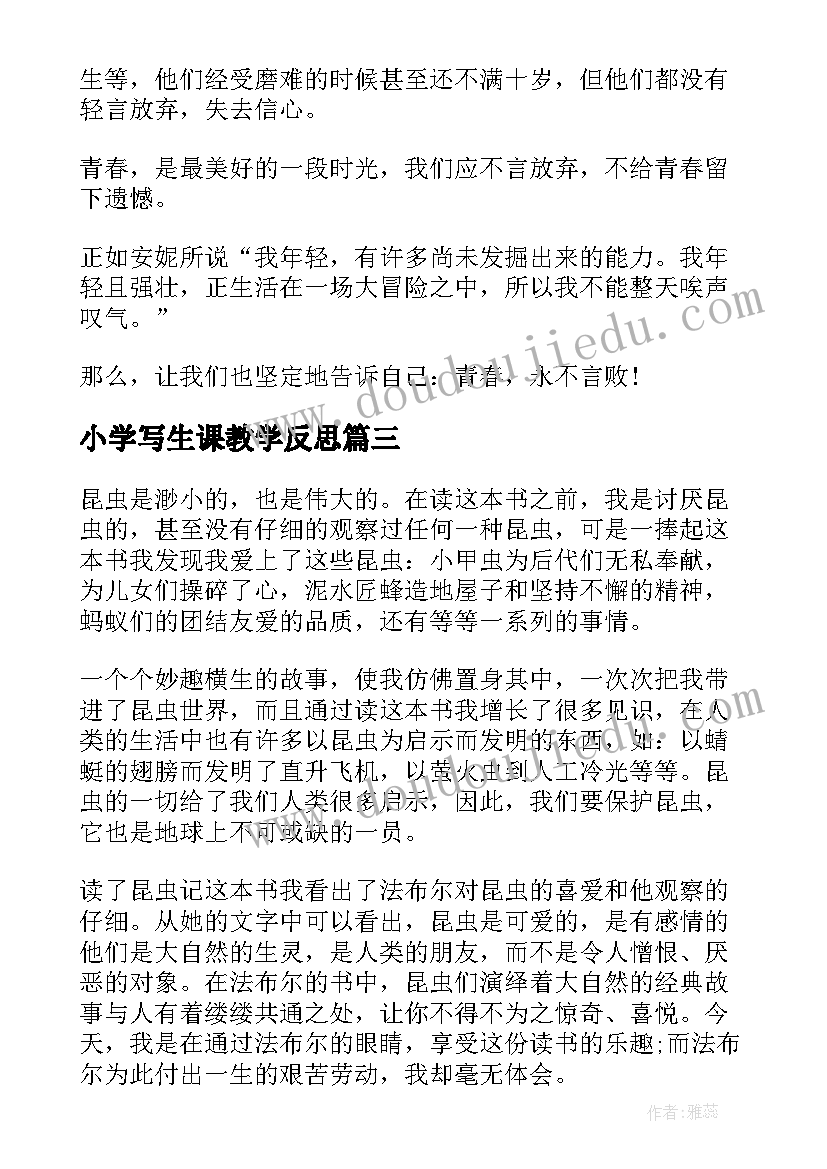 2023年小学写生课教学反思(实用5篇)