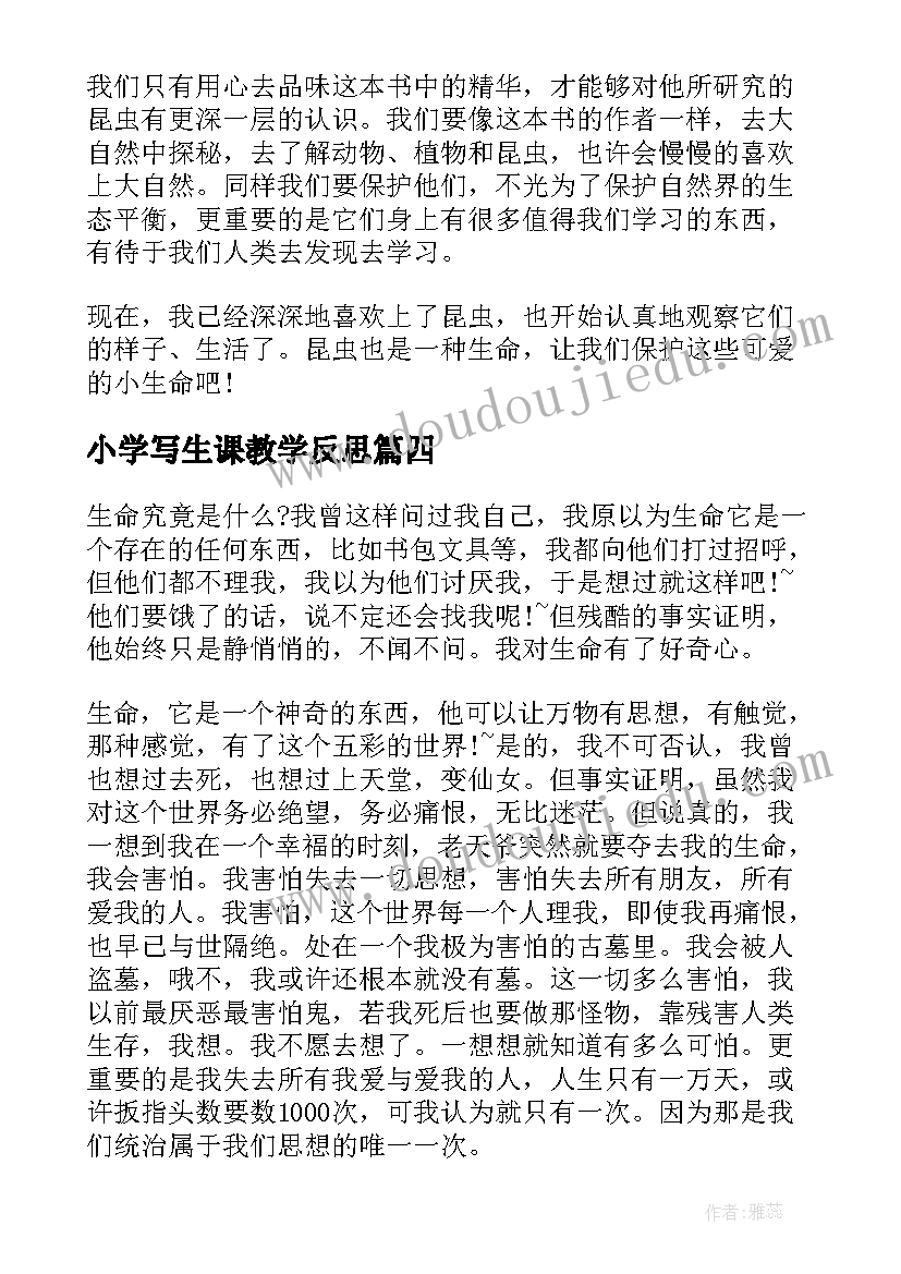 2023年小学写生课教学反思(实用5篇)