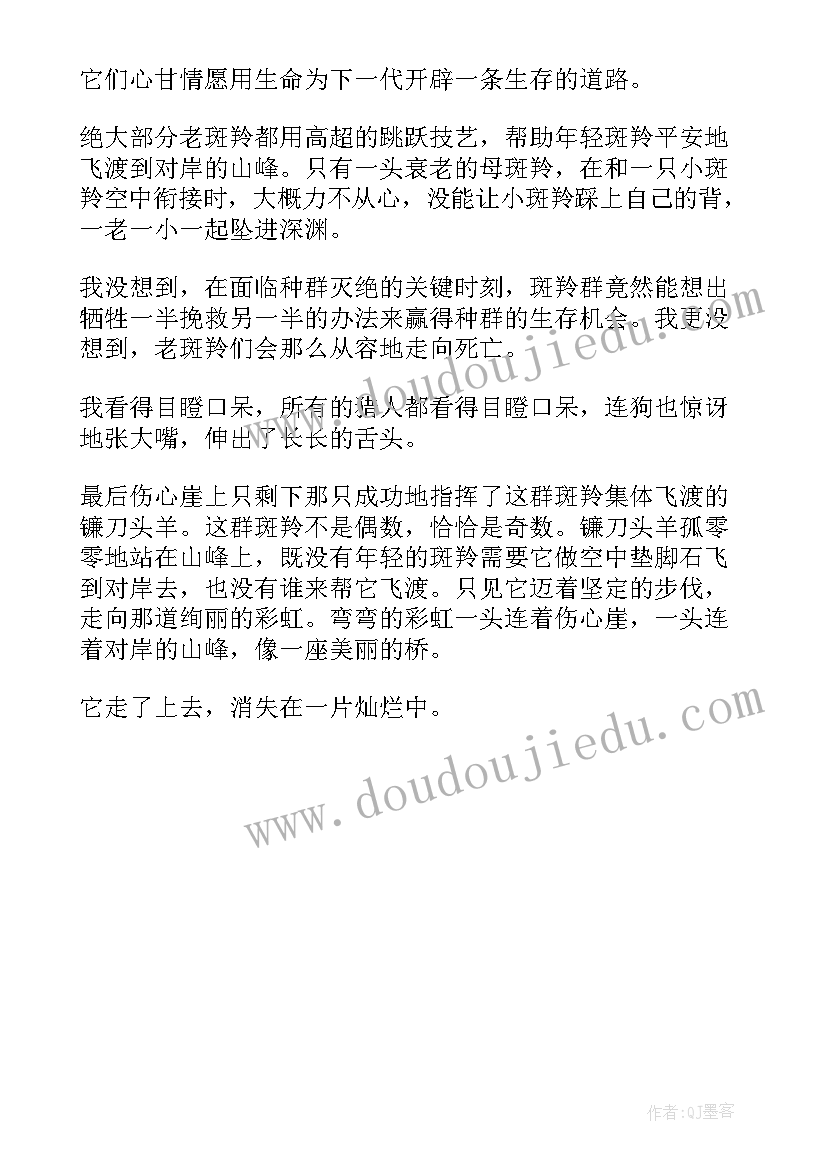 2023年七年级语文 七年级语文斑羚飞渡原文及教案(实用7篇)