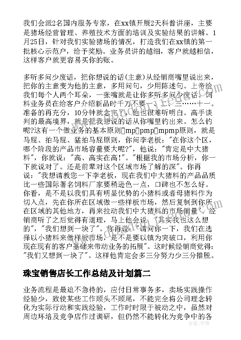 珠宝销售店长工作总结及计划(汇总9篇)