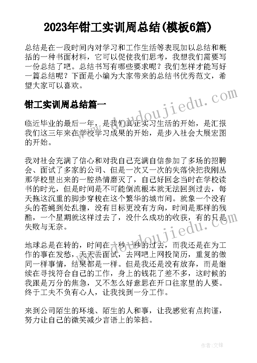 2023年钳工实训周总结(模板6篇)