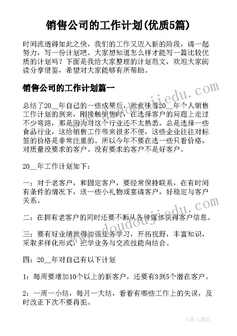 销售公司的工作计划(优质5篇)