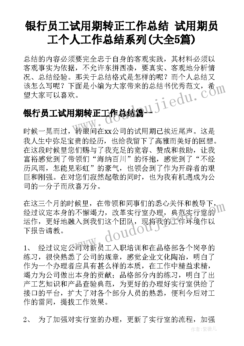 银行员工试用期转正工作总结 试用期员工个人工作总结系列(大全5篇)