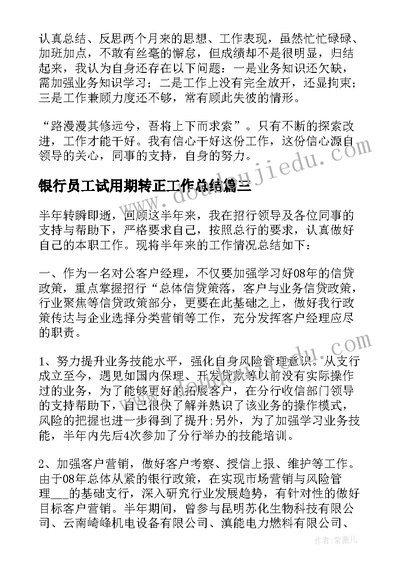 银行员工试用期转正工作总结 试用期员工个人工作总结系列(大全5篇)