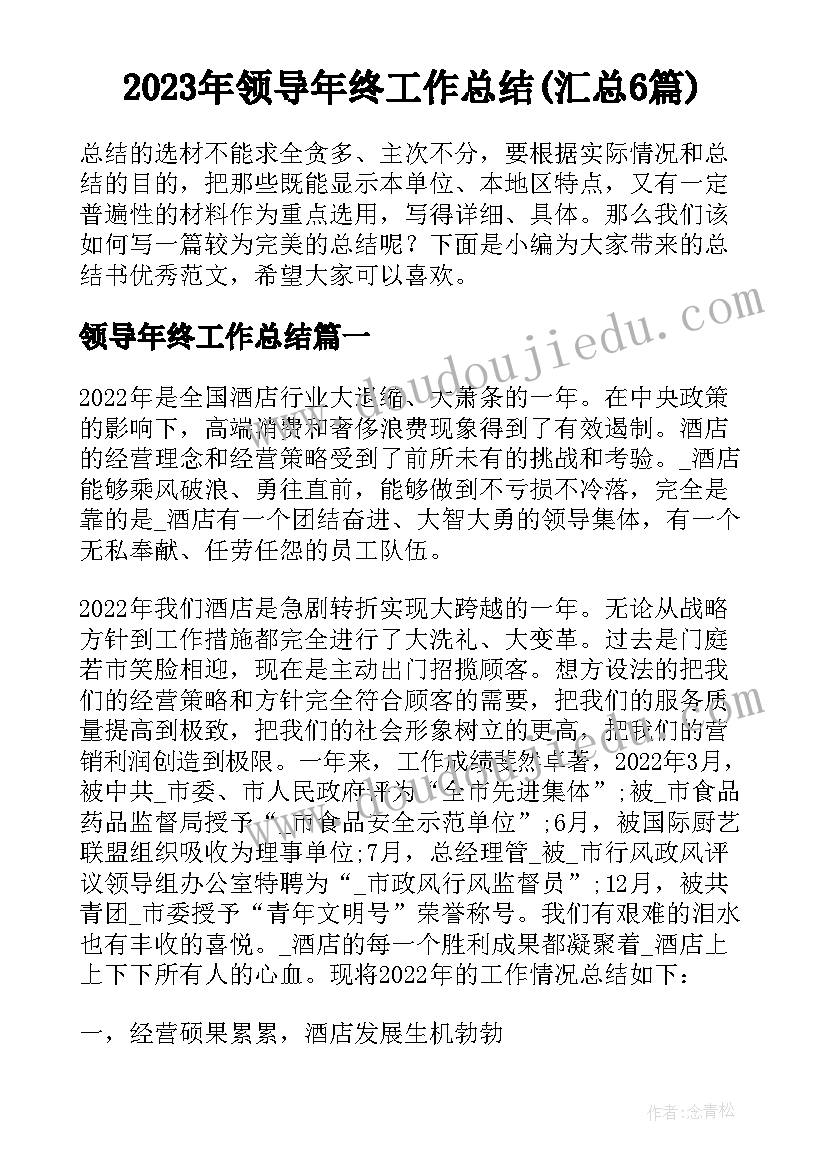 2023年领导年终工作总结(汇总6篇)