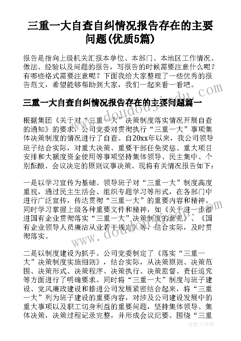 三重一大自查自纠情况报告存在的主要问题(优质5篇)