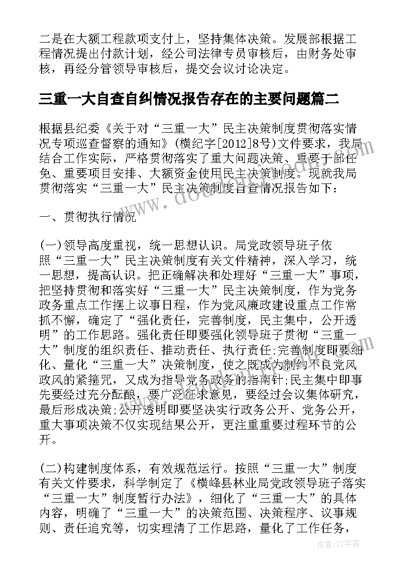 三重一大自查自纠情况报告存在的主要问题(优质5篇)