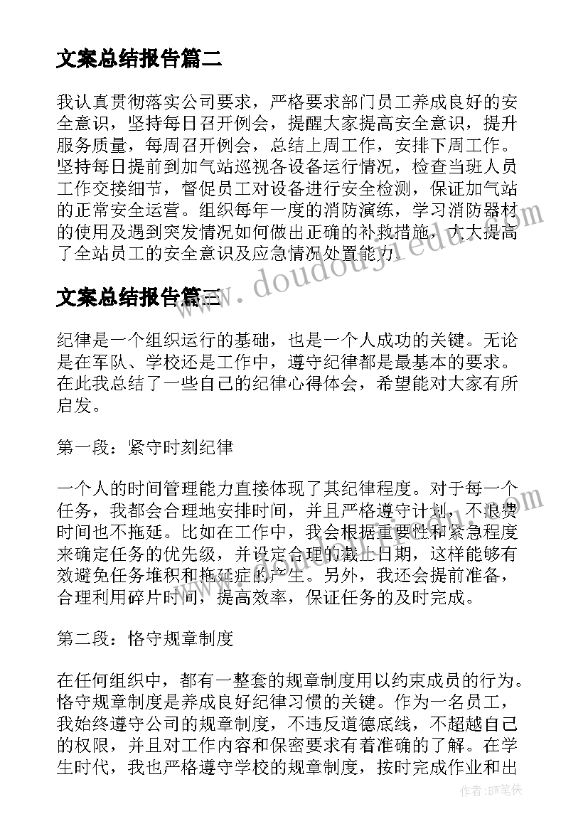 2023年文案总结报告 文案工作个人总结(模板6篇)