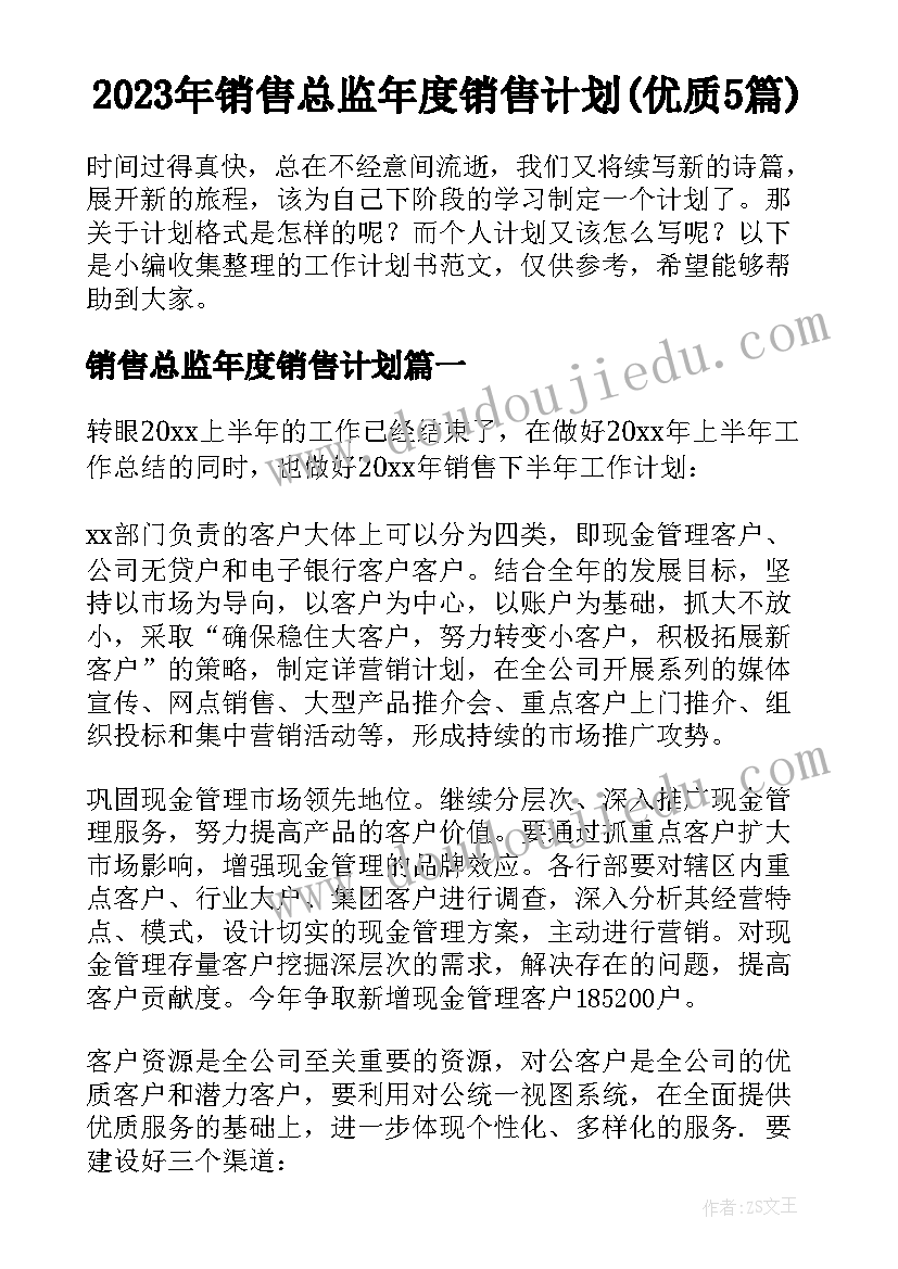 2023年销售总监年度销售计划(优质5篇)