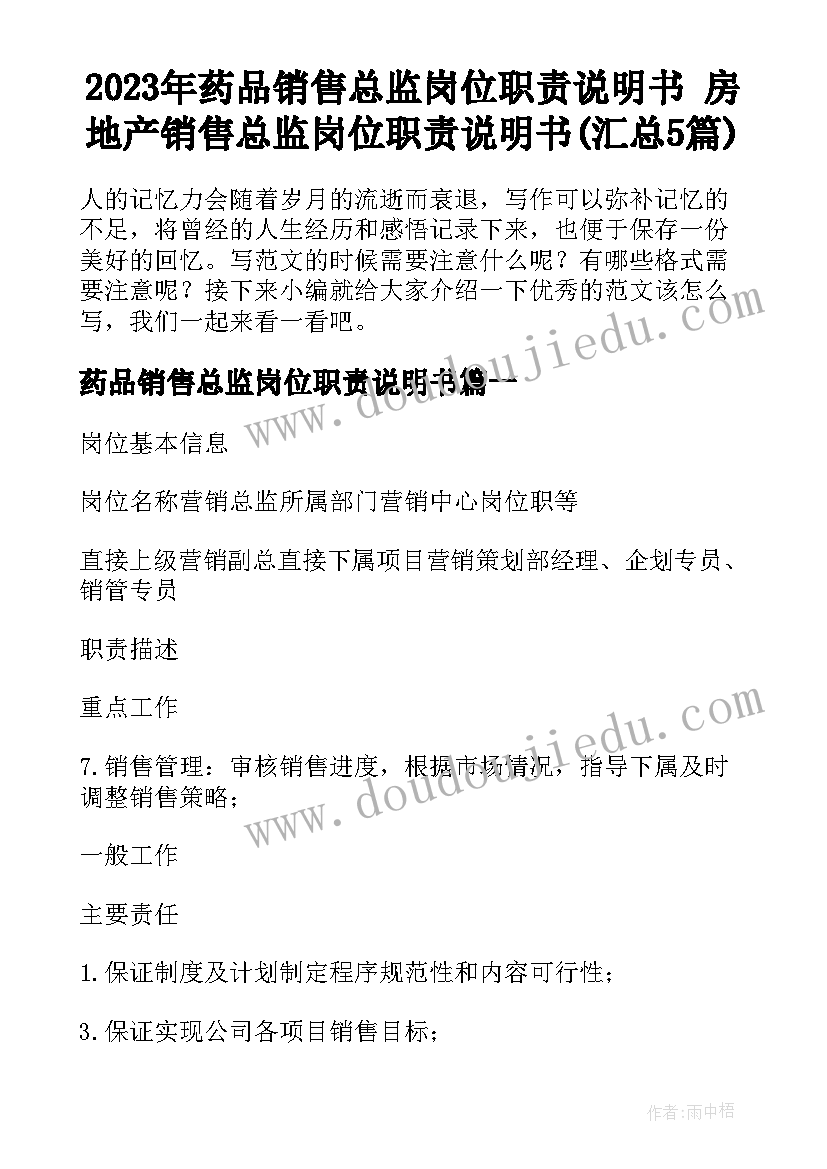 2023年药品销售总监岗位职责说明书 房地产销售总监岗位职责说明书(汇总5篇)