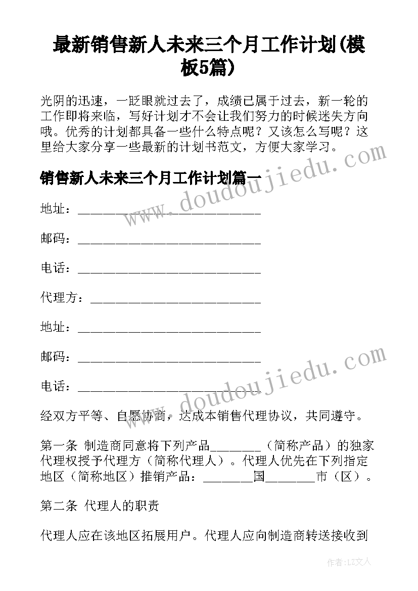 最新销售新人未来三个月工作计划(模板5篇)