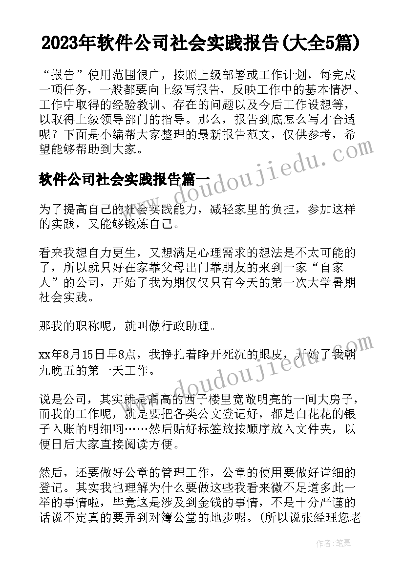 2023年软件公司社会实践报告(大全5篇)