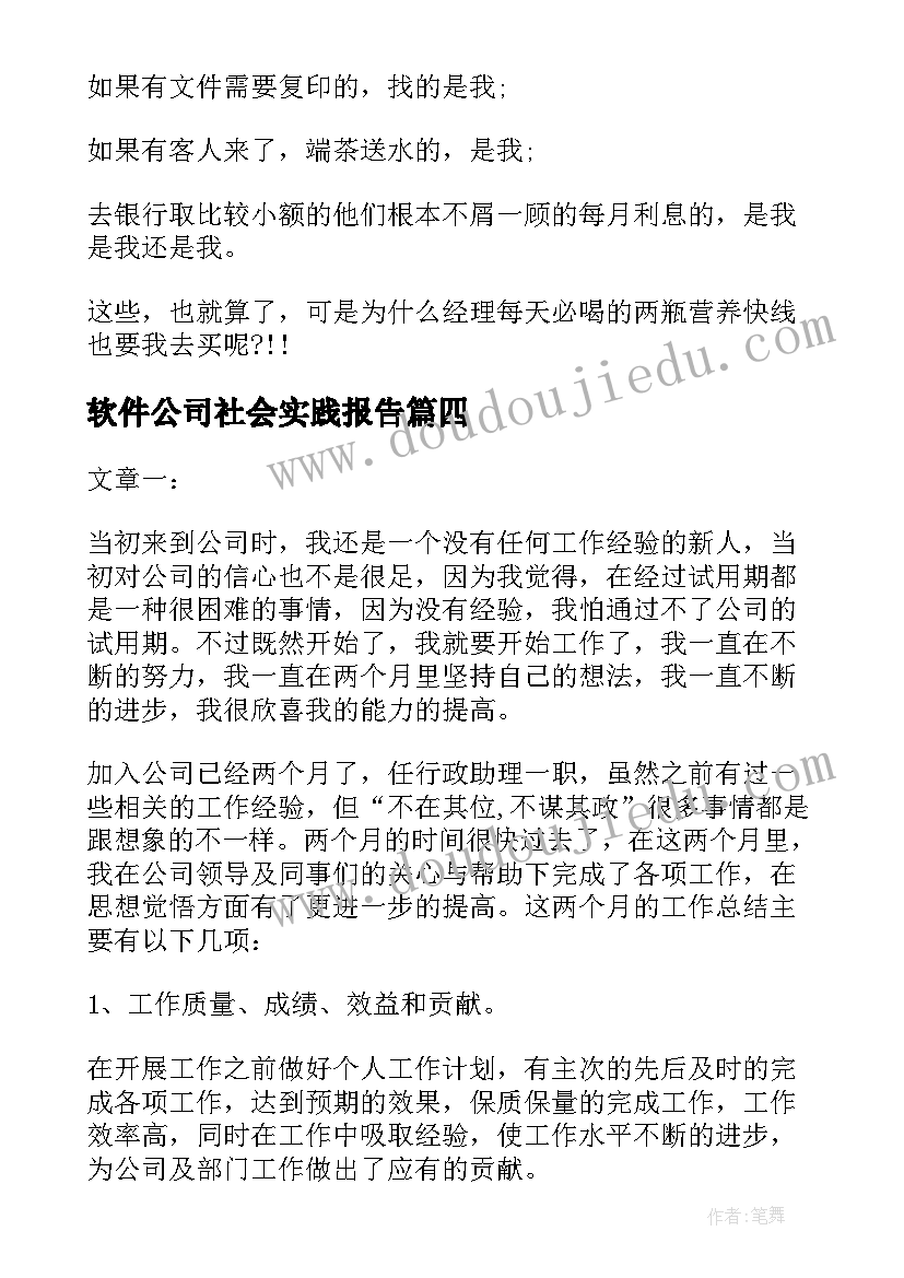 2023年软件公司社会实践报告(大全5篇)