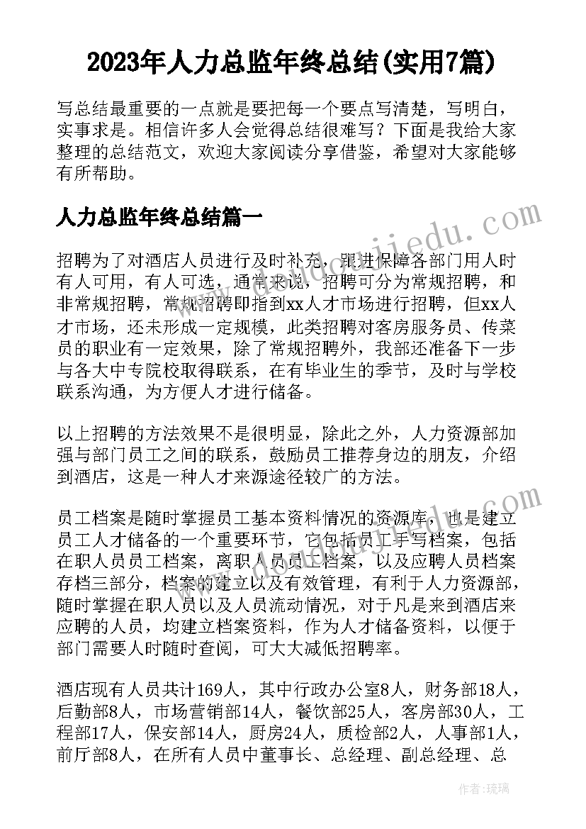 2023年人力总监年终总结(实用7篇)