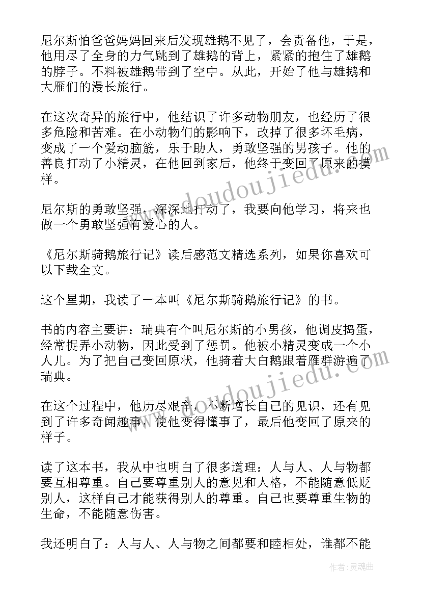 最新尼尔斯的信 尼尔斯骑鹅旅行记感悟(大全7篇)