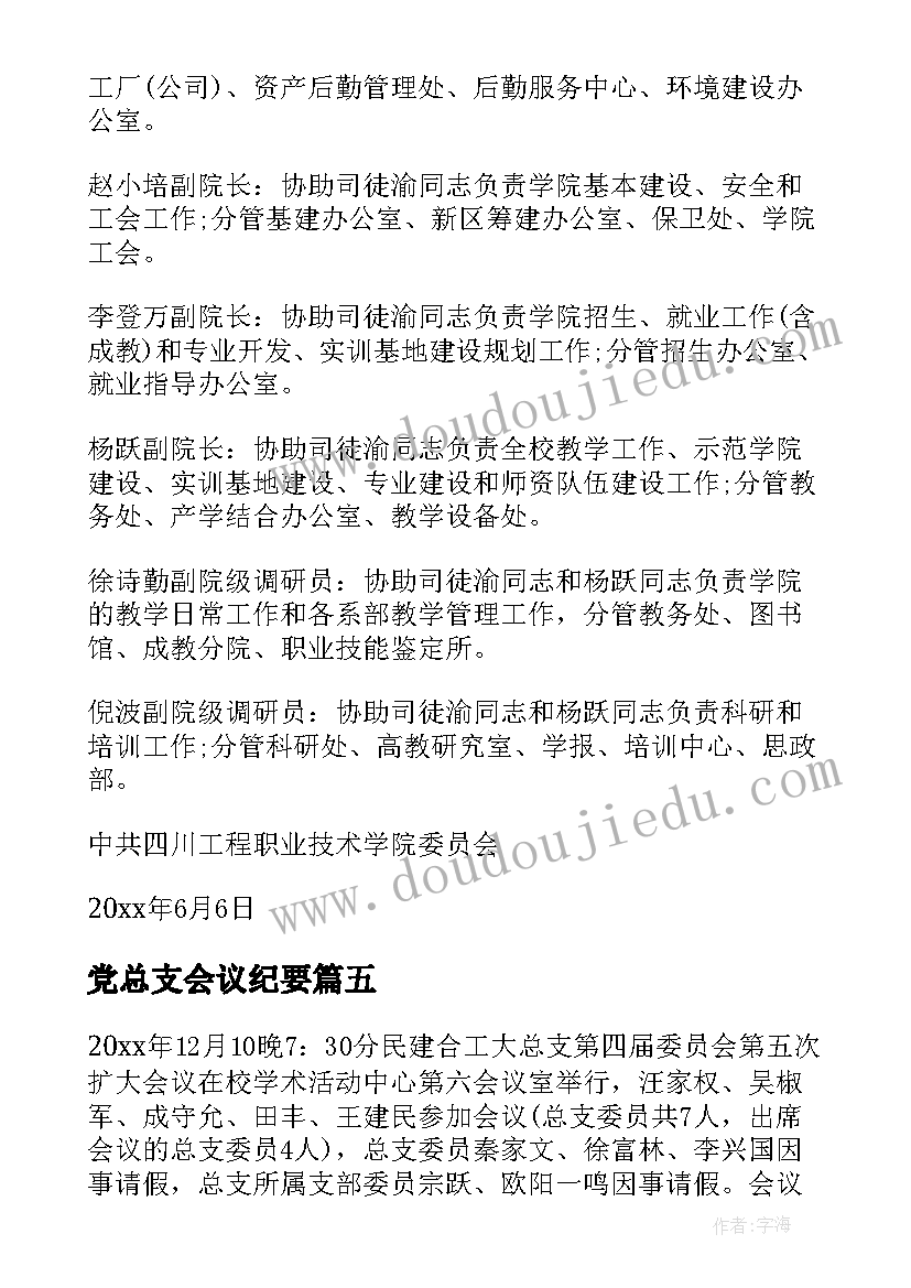 2023年党总支会议纪要(精选5篇)