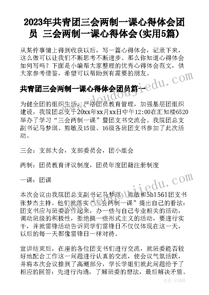 2023年共青团三会两制一课心得体会团员 三会两制一课心得体会(实用5篇)