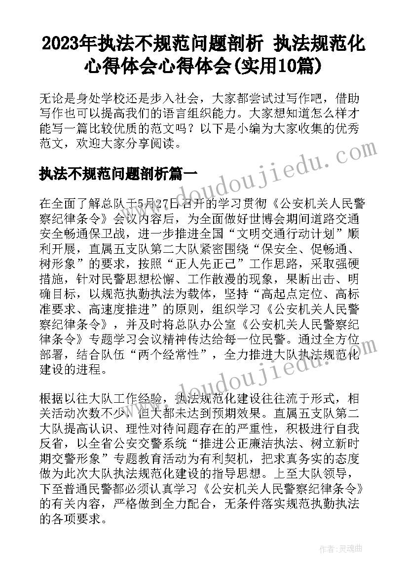 2023年执法不规范问题剖析 执法规范化心得体会心得体会(实用10篇)