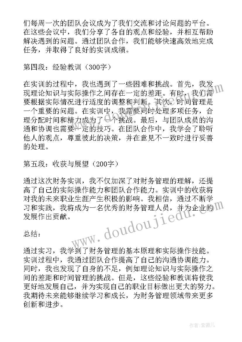 2023年实训财务总监实训总结和体会 实训报告财务心得体会总结(汇总5篇)