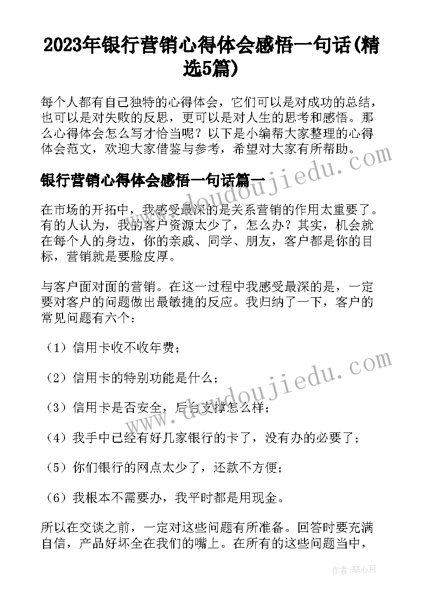 2023年银行营销心得体会感悟一句话(精选5篇)