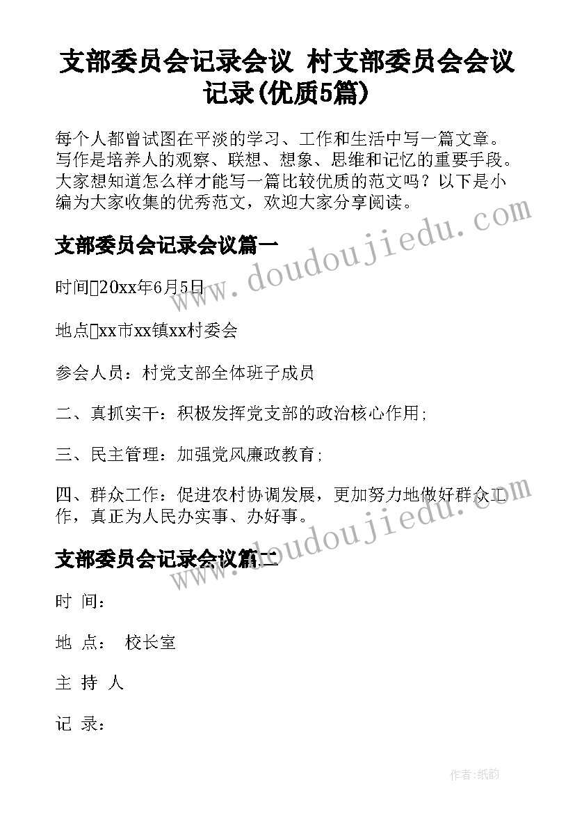 支部委员会记录会议 村支部委员会会议记录(优质5篇)