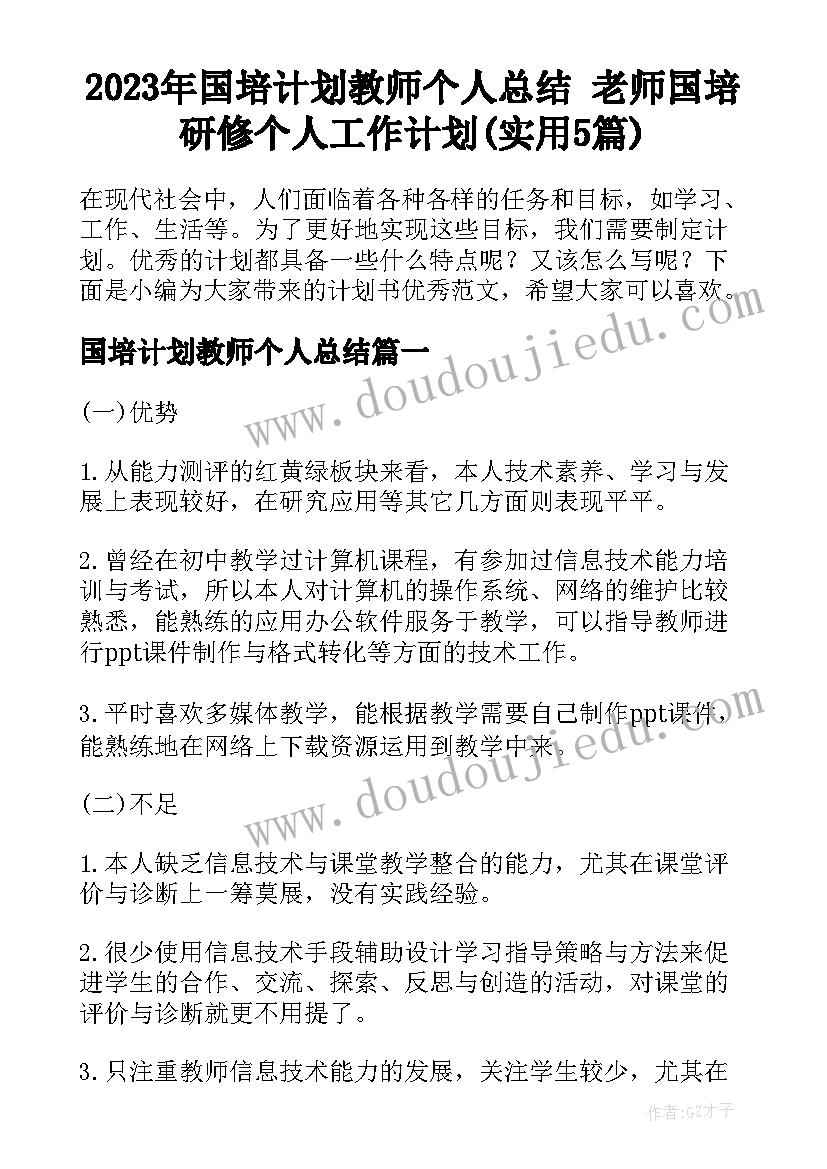 2023年国培计划教师个人总结 老师国培研修个人工作计划(实用5篇)